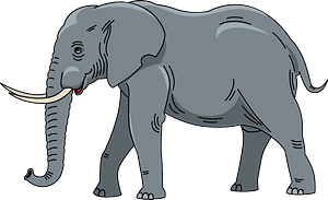 Elefant