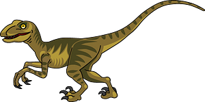 Velociraptor