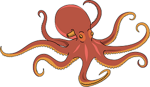 Oktopus