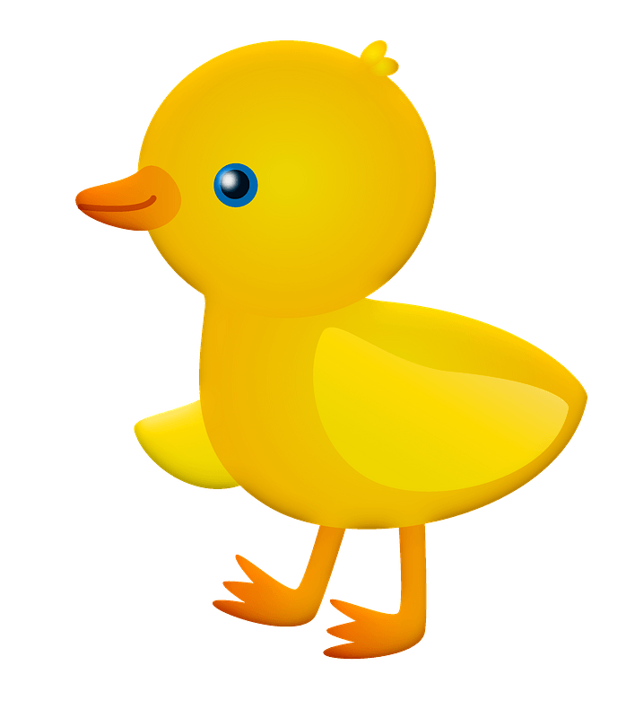 Chick