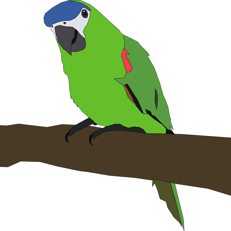 Parrot sitting on a branch