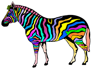 Colourful Zebra