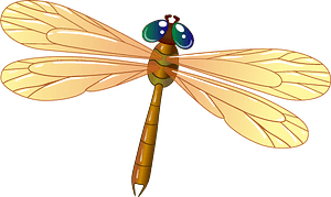Dragonfly