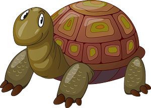Turtle
