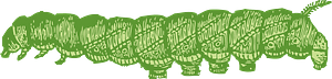 Caterpillar