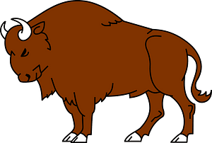 Buffalo