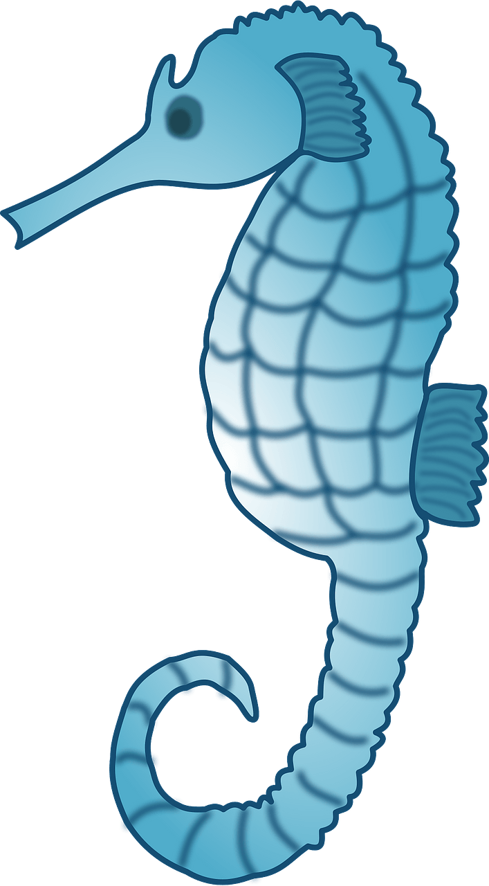 Seahorse