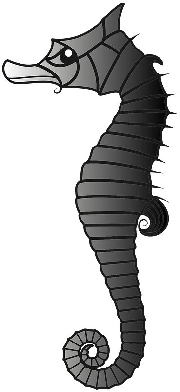 Seahorse