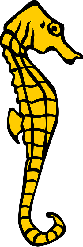 Seahorse