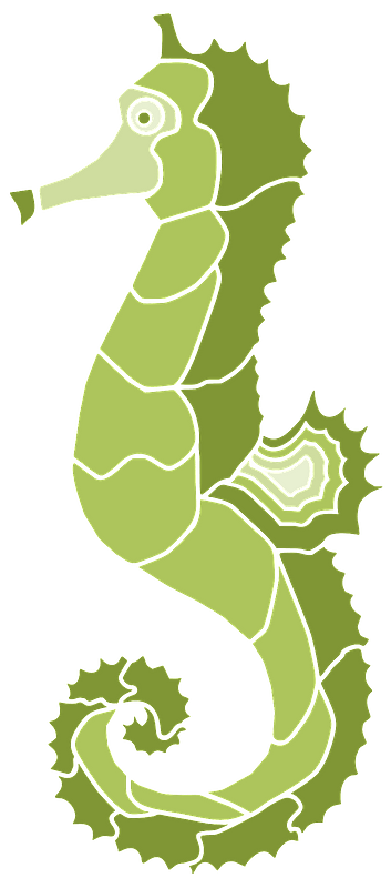 Seahorse