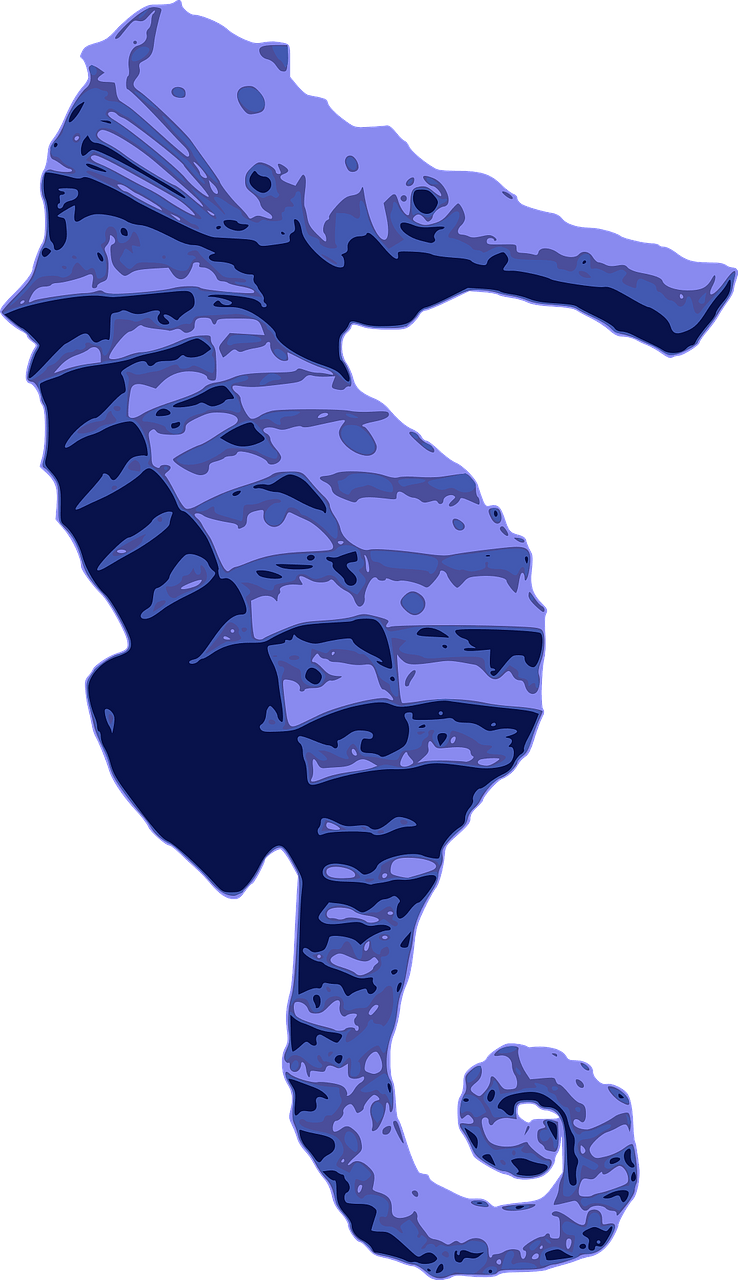 Blue seahorse