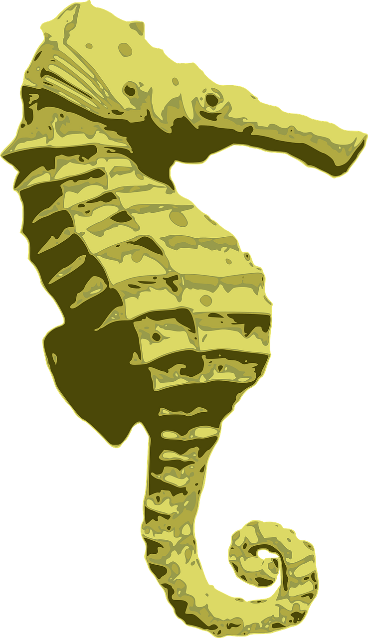 Yellow seahorse