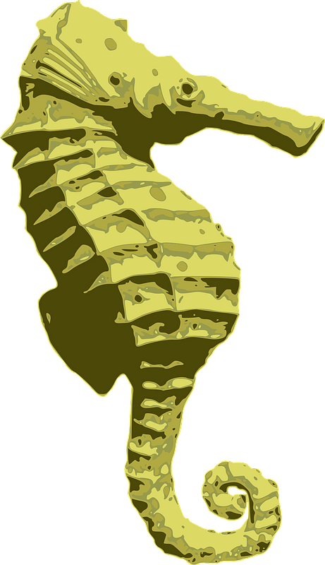 Yellow seahorse