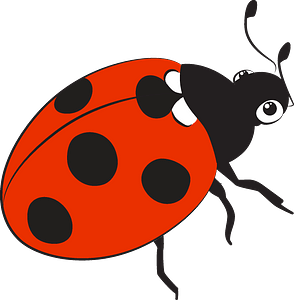 Ladybug