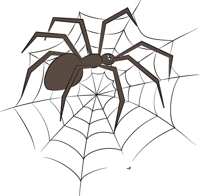 Spider