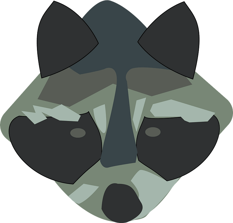 Raccoon face