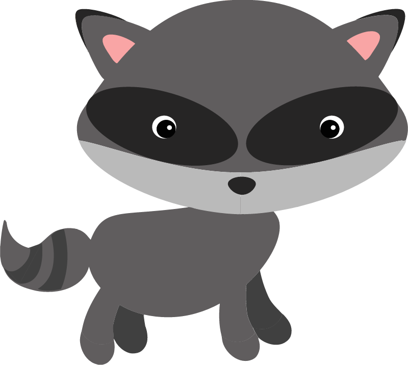 Rakun