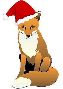 Fox wearing Santa hat