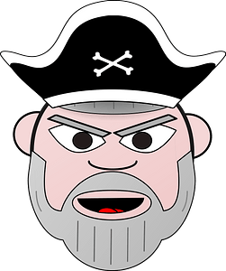 Grey beard pirate face