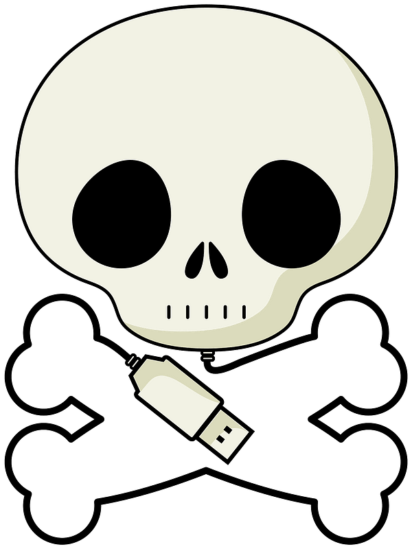Pirate bones with USB