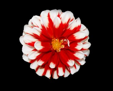 White nature background