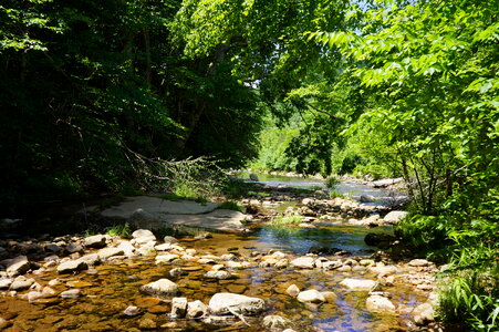 Dolly Sods West Virginia photo