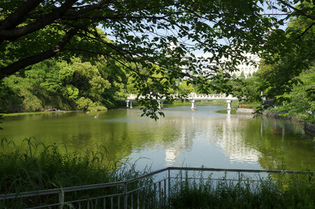 1 Tennouji Park