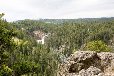 South Rim of the Grand Canyon of the Yellowstone photo