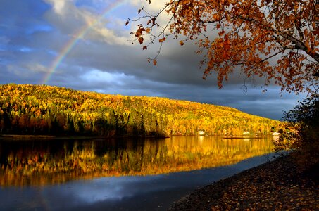 Fall trees mountain photo