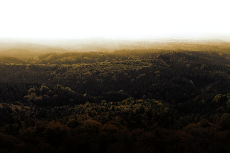 Autumn landscape with fog in the mountains. photo