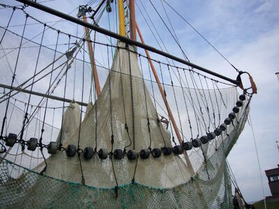 Cutter crab fisherman networks photo