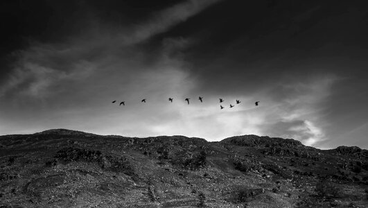 Wales black and white nature photo