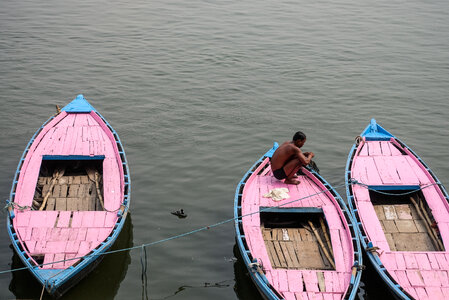 Three Pink Boats photo