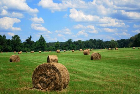 Agricultural agriculture autumn photo