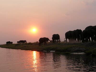 Safari namibia riverside