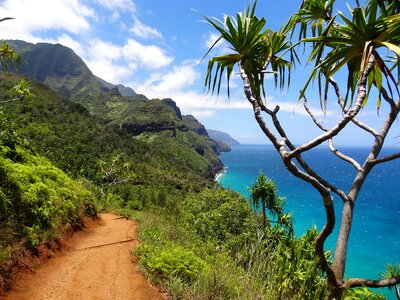 Nature hawaii landscape photo