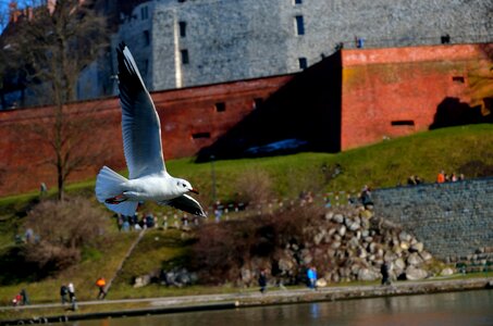 Flight poland kraków