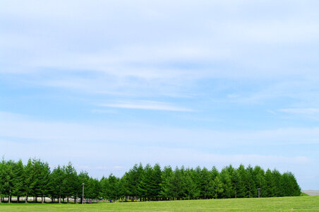 20 Moerenuma park photo