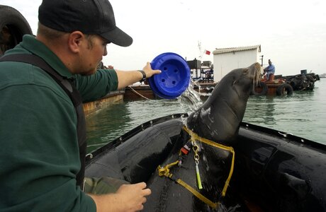 Water man cooling off