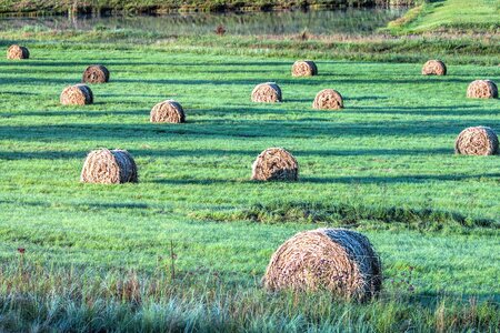 Agriculture bale crop photo