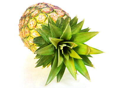Pineapple photo