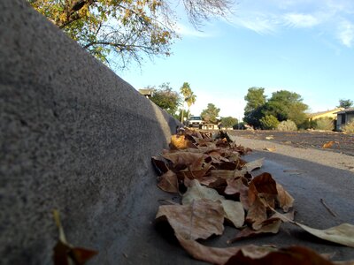 Brown street autumn photo