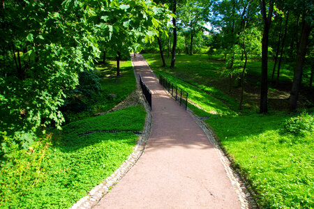 Path in park photo