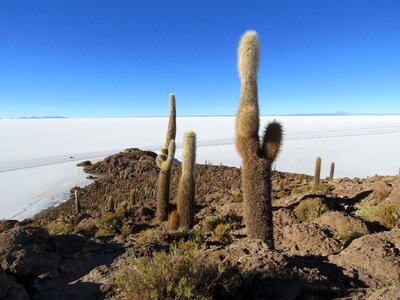 Isla Incahuasi