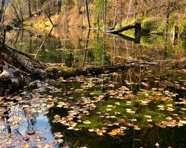 Autumn landscape water
