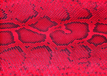 background of sneak skin texture