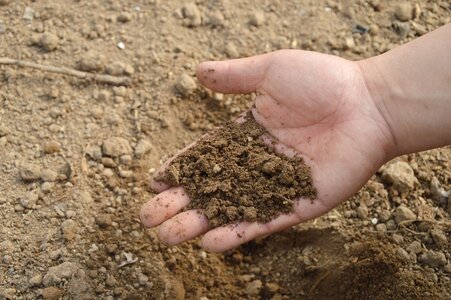Garden fertilizer compost