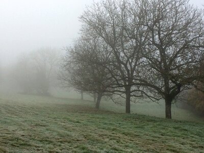 Autumn field fog photo