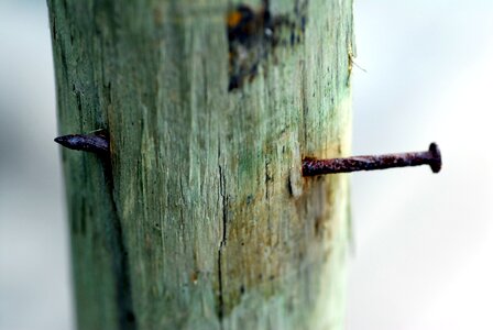 Oxide trunk nail