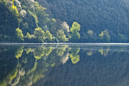 Mountain forest lake reflection landscape